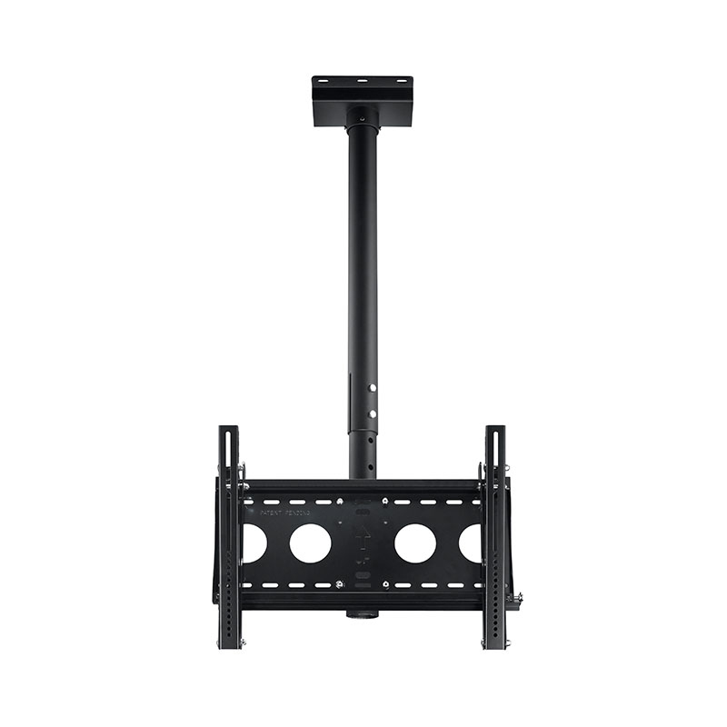 CMP-01+LMK-02 Ceiling Mount