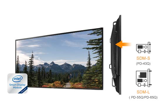 The PD-series 4K commercial display has an Intel SDM-S or SDM-L slot options