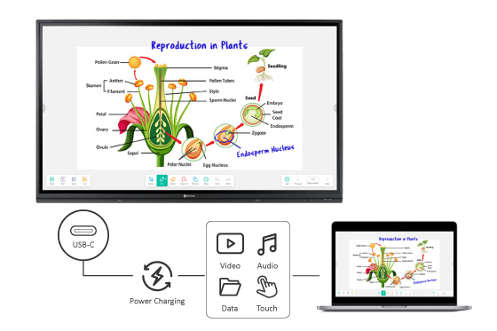 Meetboard 3 interactive display has a USB-C connectivity delivering A/V and touch functions