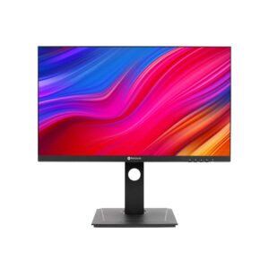 DW2401 USB-C monitor product photo_front with image