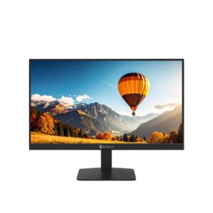 Monitor Full HD da 22 pollici LW2204